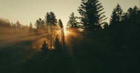 Paul PINTARD - PINTARD PHOTOGRAPHIE