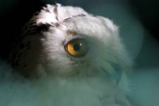 Marie-Emmanuelle DIOT LAPORTE - Memograph